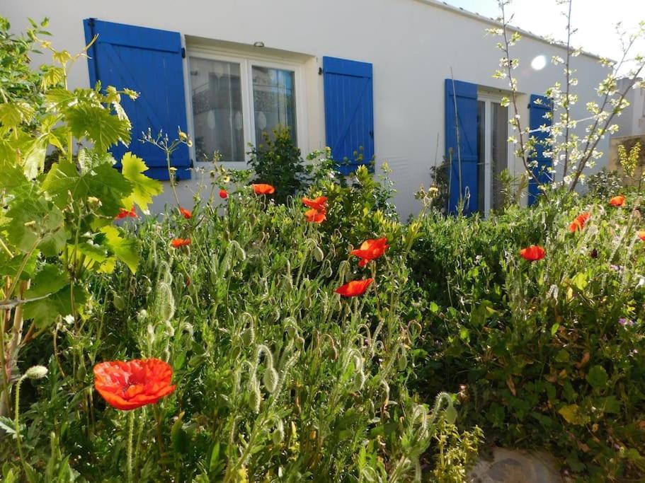Maisonnette De Jardin Marseille Exterior photo