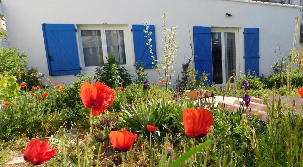 Maisonnette De Jardin Marseille Exterior photo