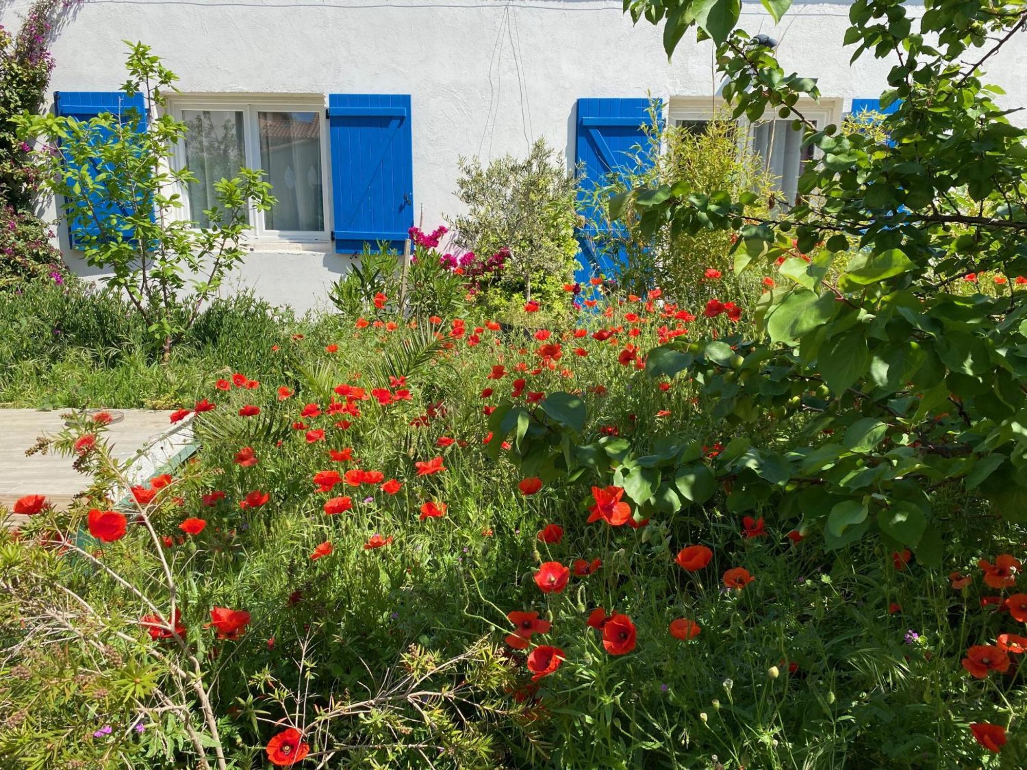 Maisonnette De Jardin Marseille Exterior photo